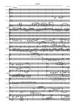 Сцена на стихи Каролины Павловой для меццо-сопрано, баритона, виолончели, валторны и фортепиано (партитура)